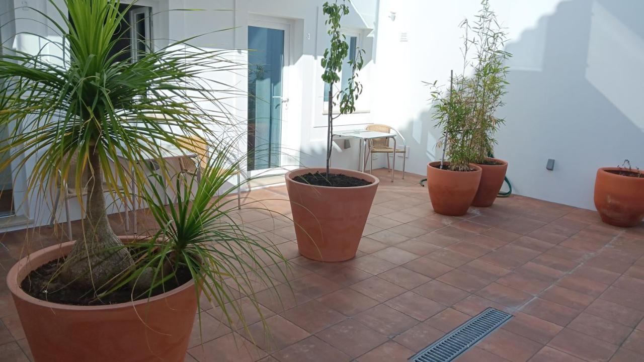 Apartamentos Naturalis Vila Nova de Milfontes Exteriér fotografie